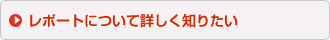 レポートについて詳しく知りたい