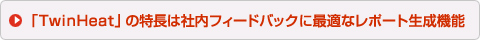  「TwinHeat」の特長は社内フィードバックに最適なレポート生成機能